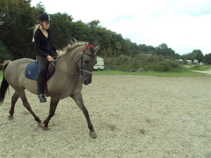 Anden særlig race Hannibal ( tidl. part) - I sommers:i billede 8