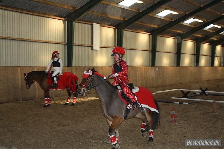 Anden særlig race Laban |*Mit ét og alt<3*| - Stævne på slettekærgård :) Det seje par :)<3 foto Lisa´s far? billede 11