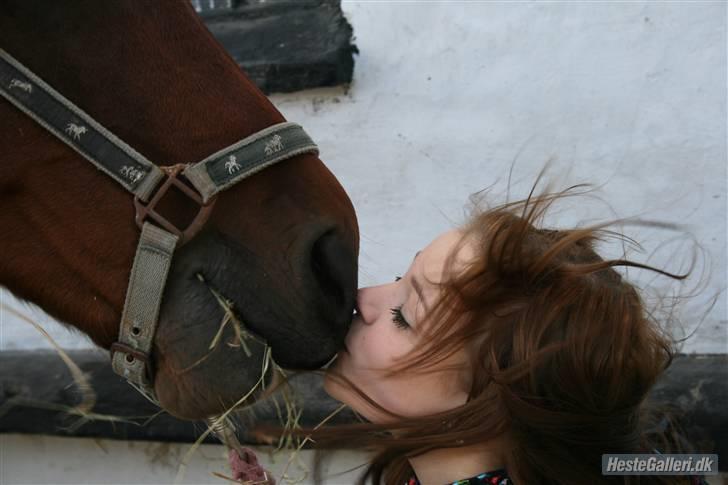 Anden særlig race st. oliver af vsr billede 9