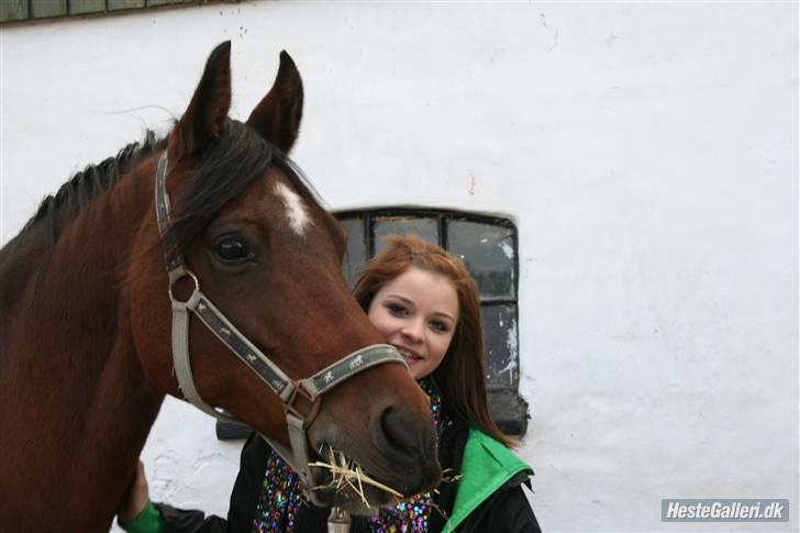 Anden særlig race st. oliver af vsr billede 12