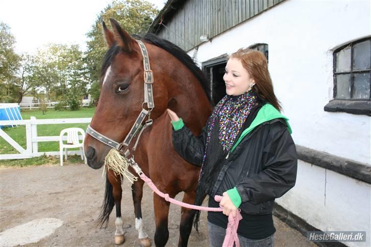 Anden særlig race st. oliver af vsr billede 13