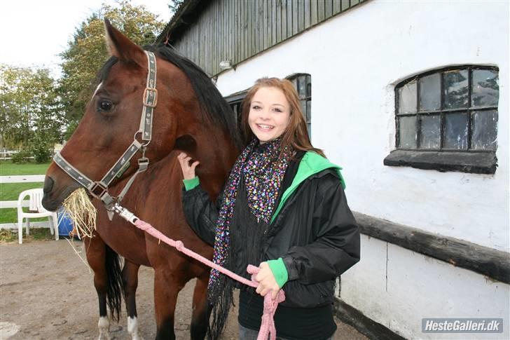 Anden særlig race st. oliver af vsr billede 14
