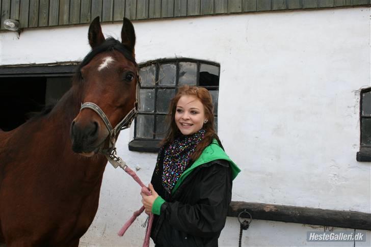 Anden særlig race st. oliver af vsr billede 17