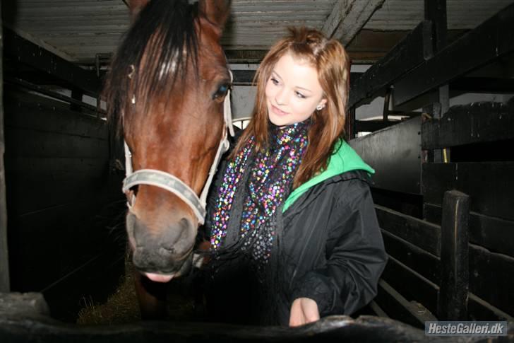 Anden særlig race st. oliver af vsr billede 19