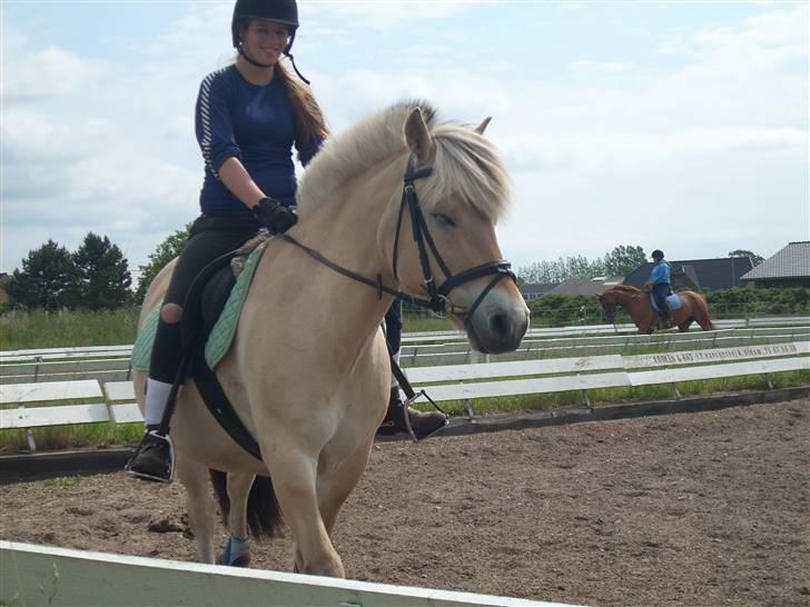 Fjordhest Victor<3 - Vi rider d:<3 billede 2