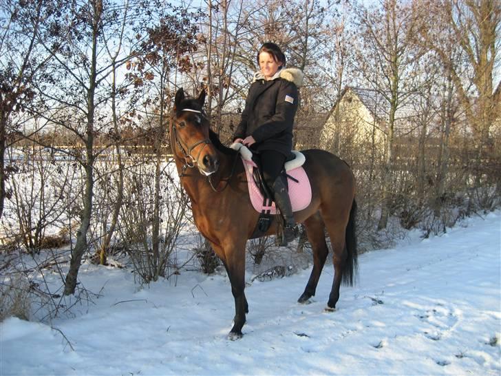 New Forest Alhedens Delight billede 12