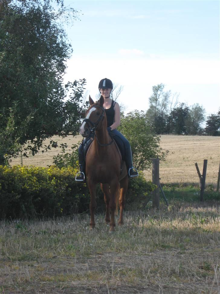 Frederiksborg Atlantis billede 15