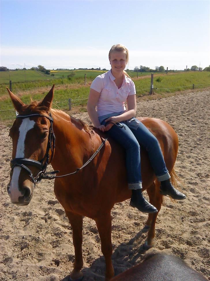 Frederiksborg Atlantis billede 16