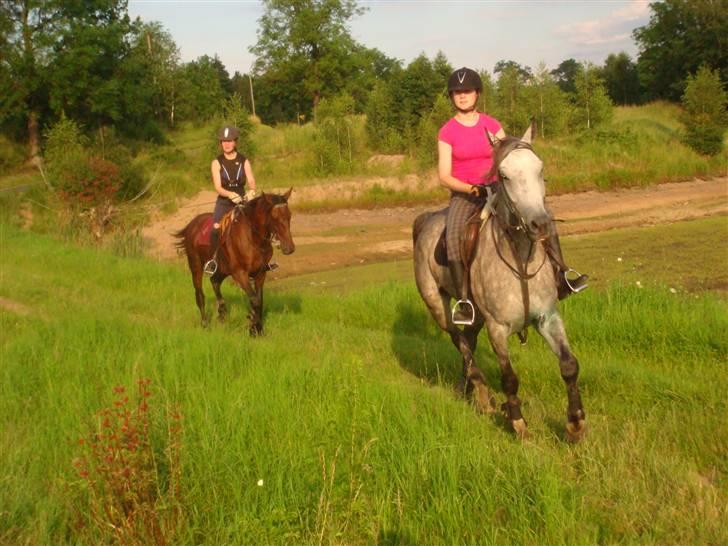 Anden særlig race Cesja - En god trav gennem engen XD billede 16