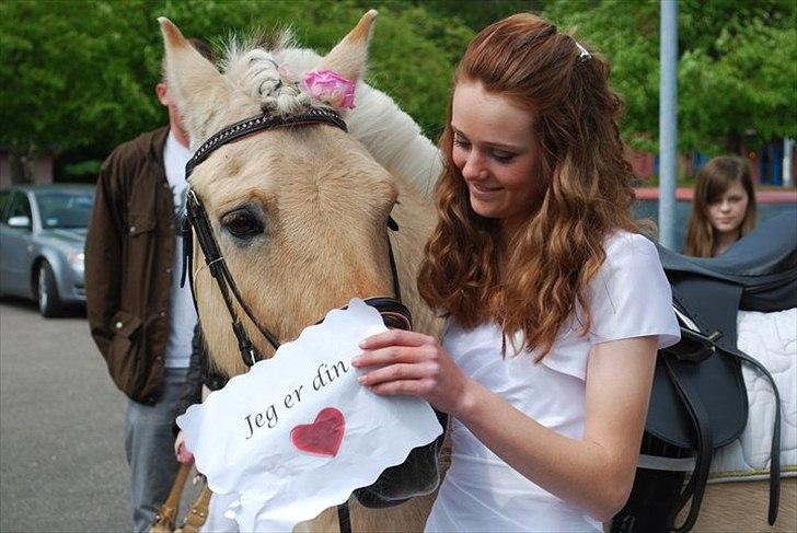 Fjordhest Aslaug *STJERNE* - Min fantastiske konfirmationsgave Aslaug og mig. Kunne ikke have fået en bedre gave! Skiltet på billedet er fra Aslaug *Foto: Elisa* billede 16