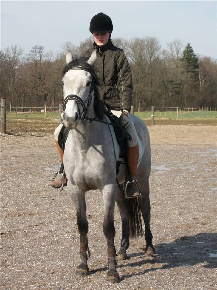 Anden særlig race Medina  - Tilligere part - Mig og Medina der prøver at lave en pæn parede :D - Det gik bedre end de andre gange ^^ * 2010 Marts billede 5