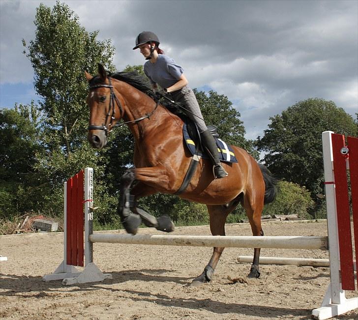 Oldenborg Sultan  billede 4