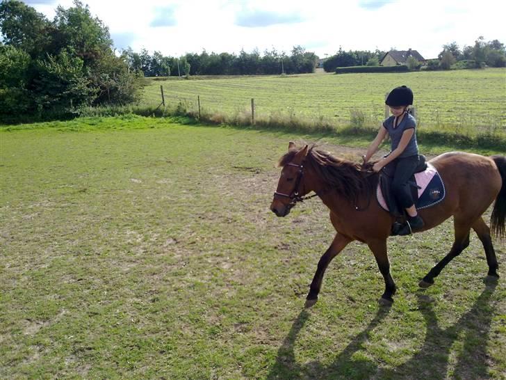 Anden særlig race Twiggi  † R.I.P † <33! - 8.Træning på Twiggi hun går bedre en hun plejer:-) billede 7