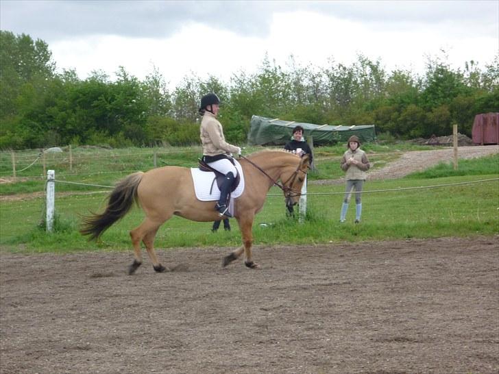 Anden særlig race Sandy<3 R.I.P <3 - ihh du er bare så gude smuk<3 billede 5