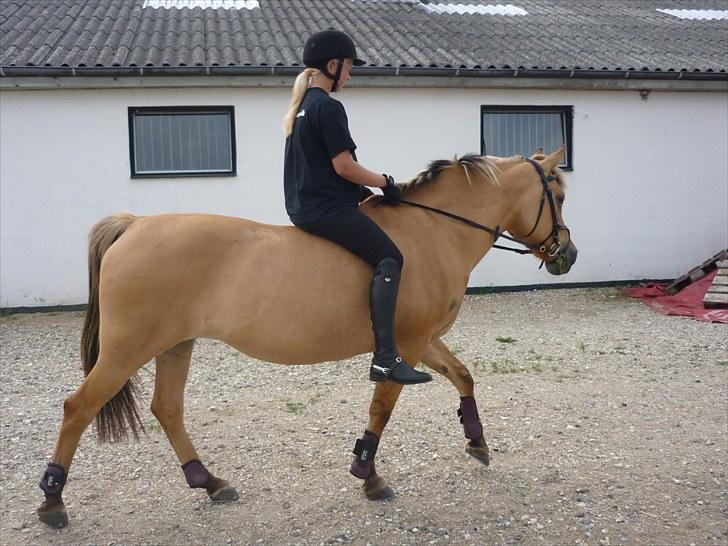 Anden særlig race Sandy<3 R.I.P <3 - min smukke Sandy<3 billede 6