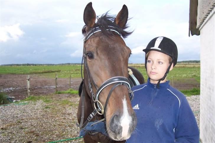 Fuldblod (XX) Erling billede 19