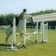 Anden særlig race Ari-bella