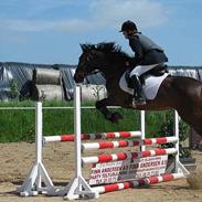 Traver Perry Kimihe **aflivet**