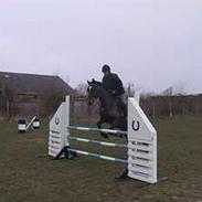 Traver Perry Kimihe **aflivet**