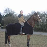 Oldenborg Bianco *solgt*