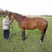 Anden særlig race Cherie