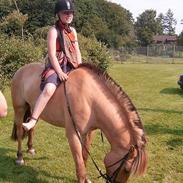 Anden særlig race bandit