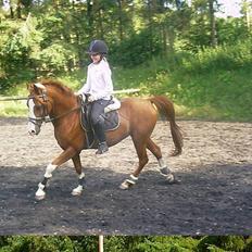 Anden særlig race - Røde <'3 *R.I.P*