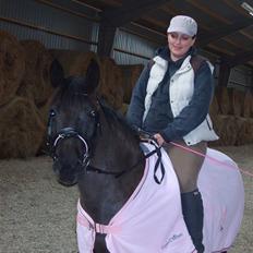 Anden særlig race Lola (Bedste Pony min) :D