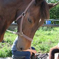 Oldenborg Joy R.I.P, Altid savnet