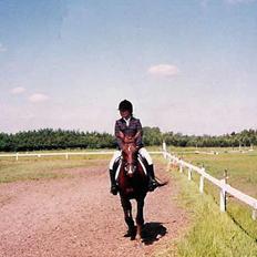 Anden særlig race Cherie > død 30.okt.<