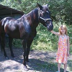 Traver Junior Røg (død)