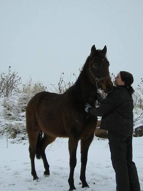 Anden særlig race Sebastian<'3 solgt:'( - Hygge, det er der også plads til billede 15