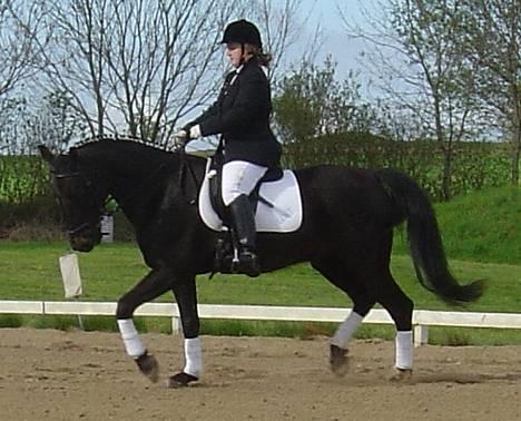 Anden særlig race ++Loke, Elsket & savnet++ - Smukke Loke og jeg til vores første stævne.. Fik en 2 plads i LC1..! billede 17