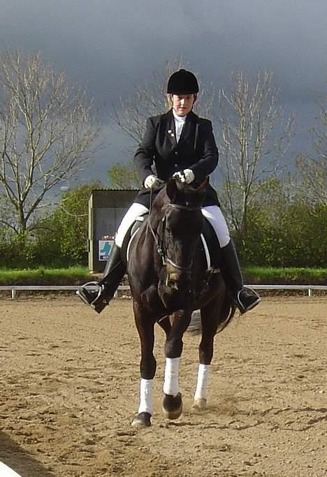 Anden særlig race ++Loke, Elsket & savnet++ - Jeg havde et problem med mine ben..! billede 18