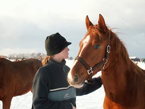 Anden særlig race royal Deluxe - mig og min dejlige dreng billede 17