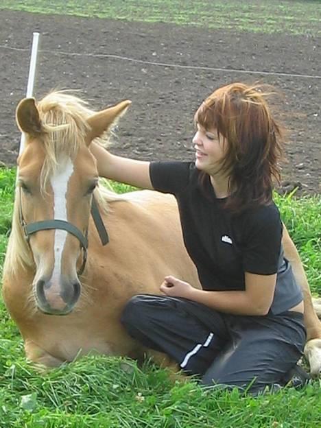 Haflinger James <,3 Minegen<'33 - Miq oq James . Årh , han er så dejliq ! <3 billede 13