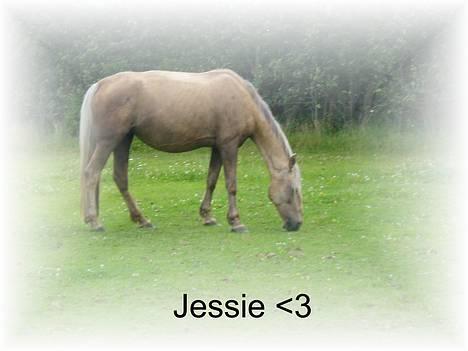 Haflinger James <,3 Minegen<'33 - jessie james mor..Desværre død..:-S billede 18