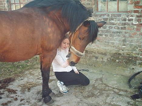 New Forest Fanny || Gammel part :( - hvorfor sidder du der ? ..<3 billede 16