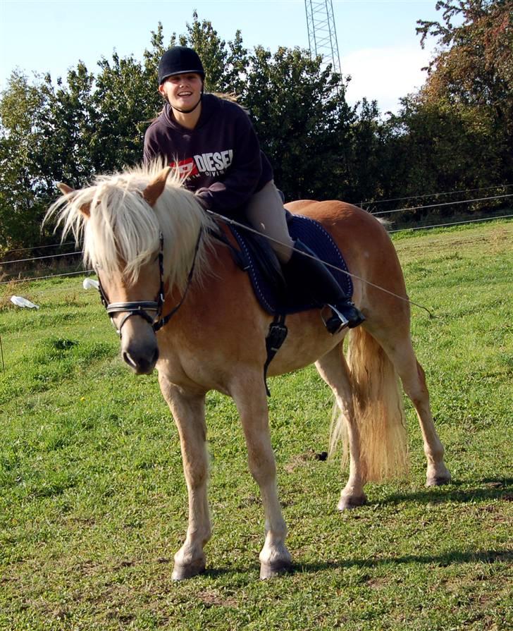 Tyroler Haflinger Gabriella Elghuset - 04.10.08 - mig og gaby billede 18