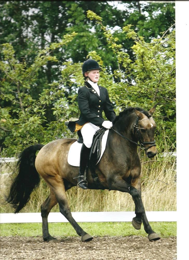 Anden særlig race Cooper - 'solgt' - DM på bogø 2006:) billede 15
