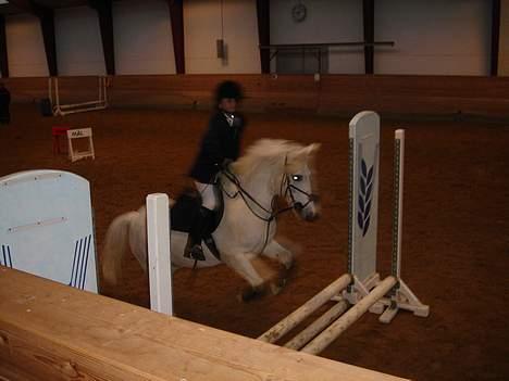 Anden særlig race Sabell billede 18