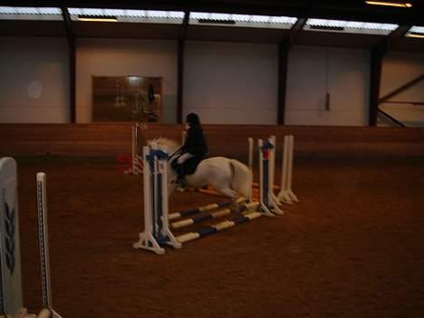 Anden særlig race Sabell billede 19