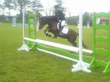 Dartmoor Jasmin *Aflivet - LC,  i NTR. Det ser da lidt sjovt ud :b . dårlig kvalitet det er taget med mobil ..Foto: Marianne. billede 18