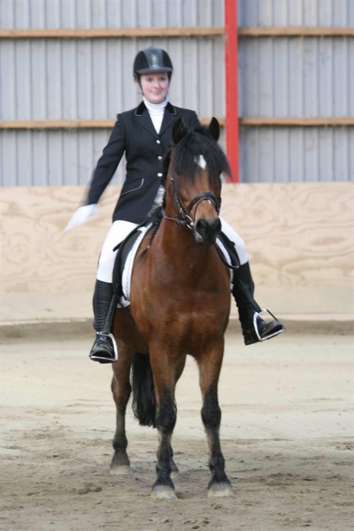 Anden særlig race Tordenskjold *Buller-basse* - vi er flotte... billede 2