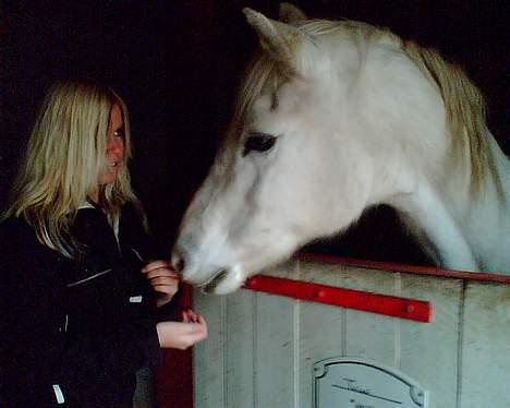 Connemara twiggi munkholm - Fra julen 2005 billede 13