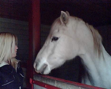 Connemara twiggi munkholm billede 14