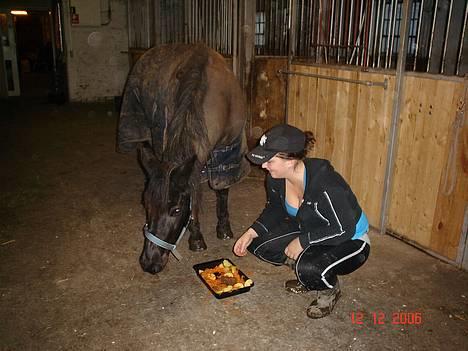 Anden særlig race Lola (Bedste Pony min) :D - spiser fødselsdags kage 2006.. :) billede 6