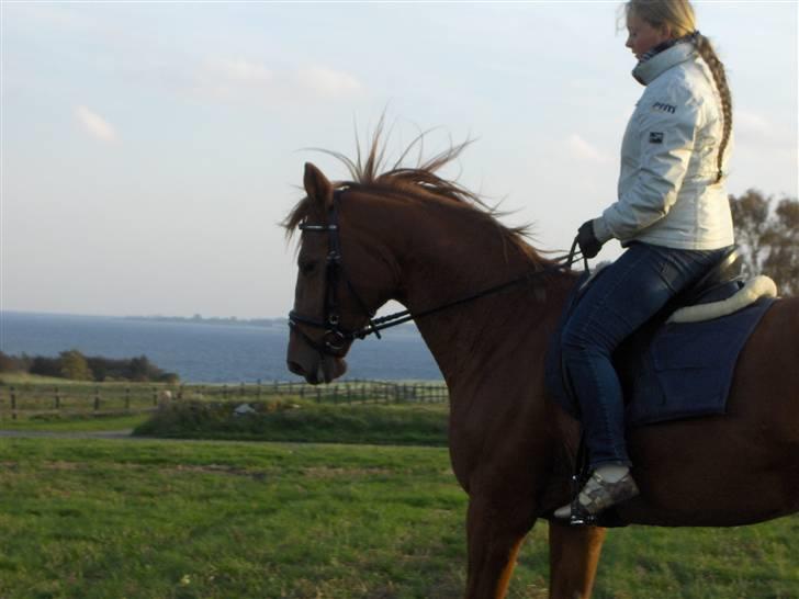 Anden særlig race Tulle RIP - pernille som rider tulle. billede 3