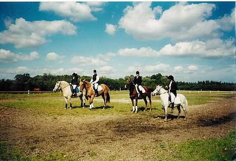 Anden særlig race Cherie > død 30.okt.< - Et stævne i 2000 billede 6