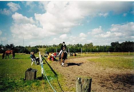 Anden særlig race Cherie > død 30.okt.< - stævne billede 7
